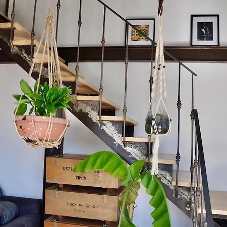 Apartment Loft A 15 Minutes A Pied Du Centre Et 5 Du Tramway